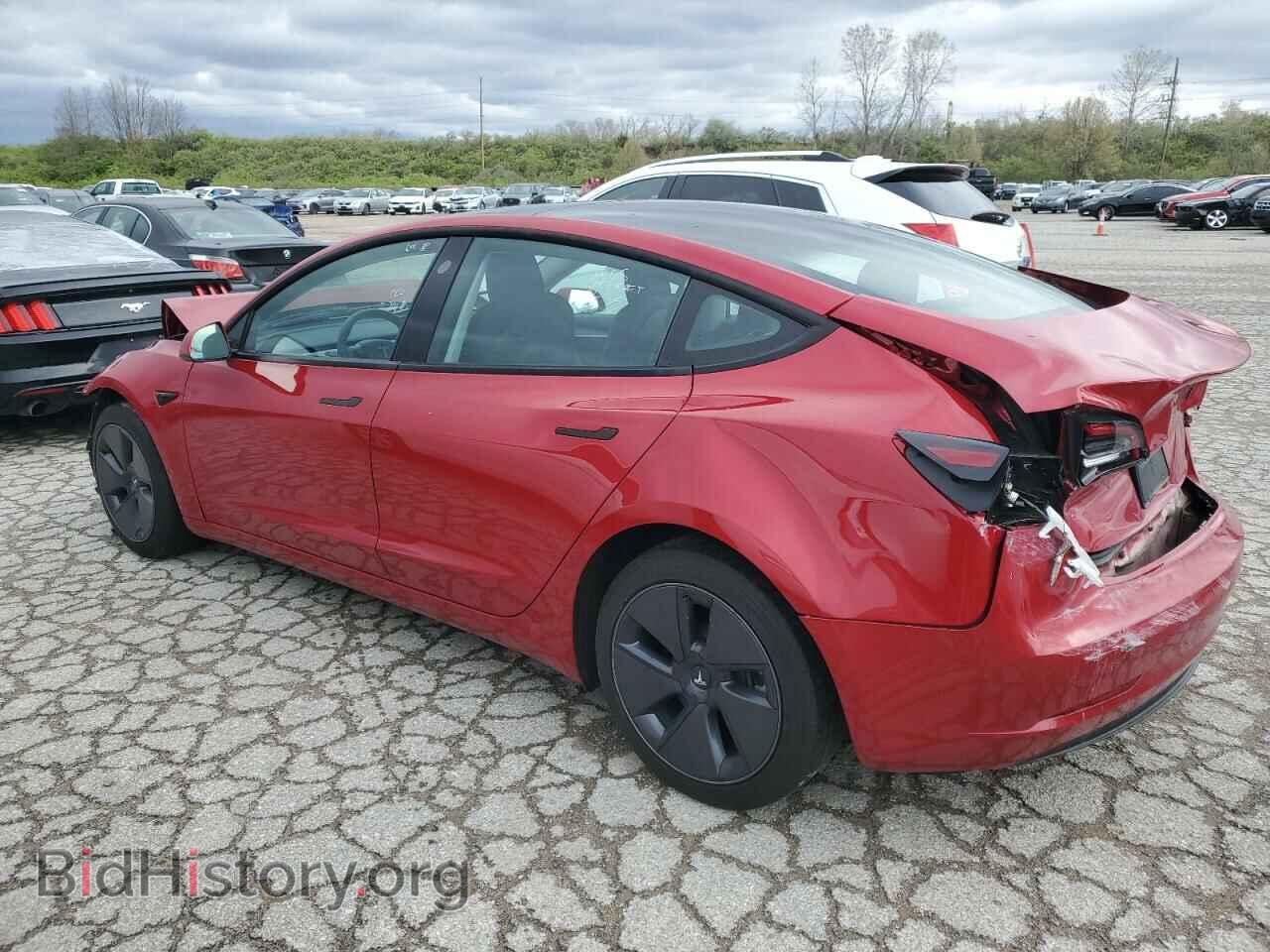 2023 TESLA MODEL 3 - VIN: 5YJ3E1EA8PF433986 - Photo 2