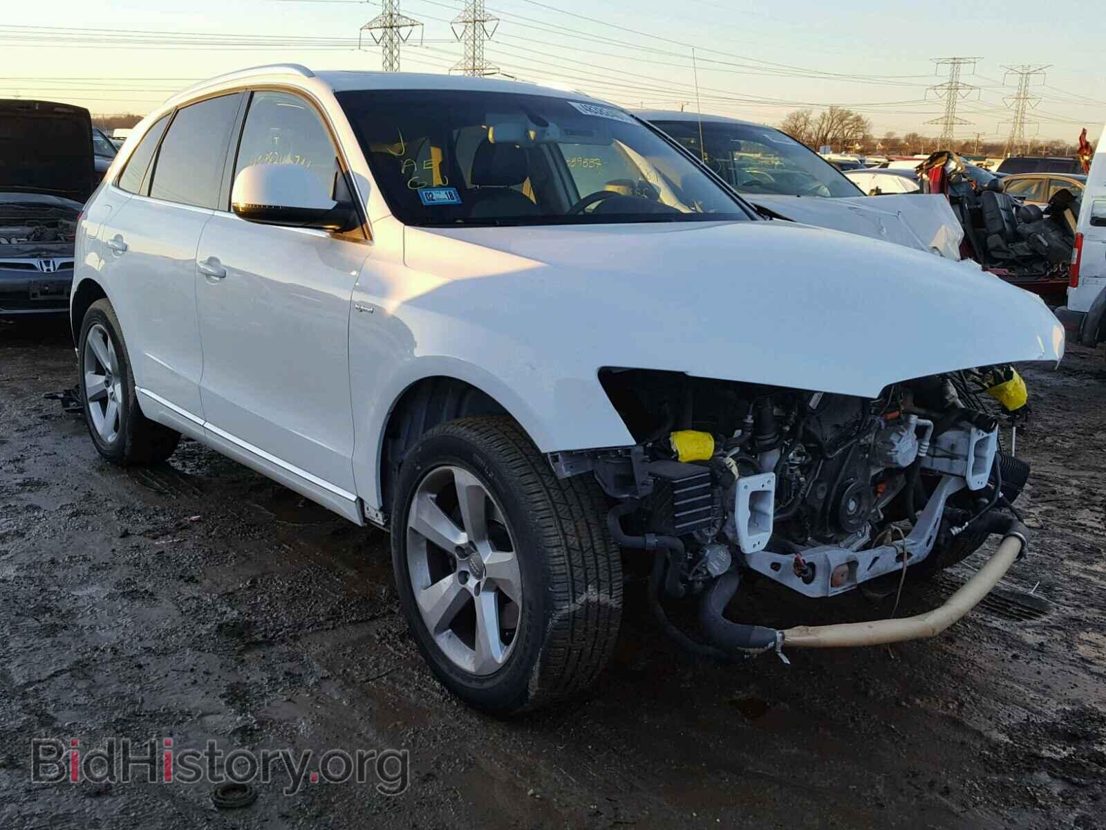 Фотография WA1C8AFP1DA079205 - AUDI Q5 2013