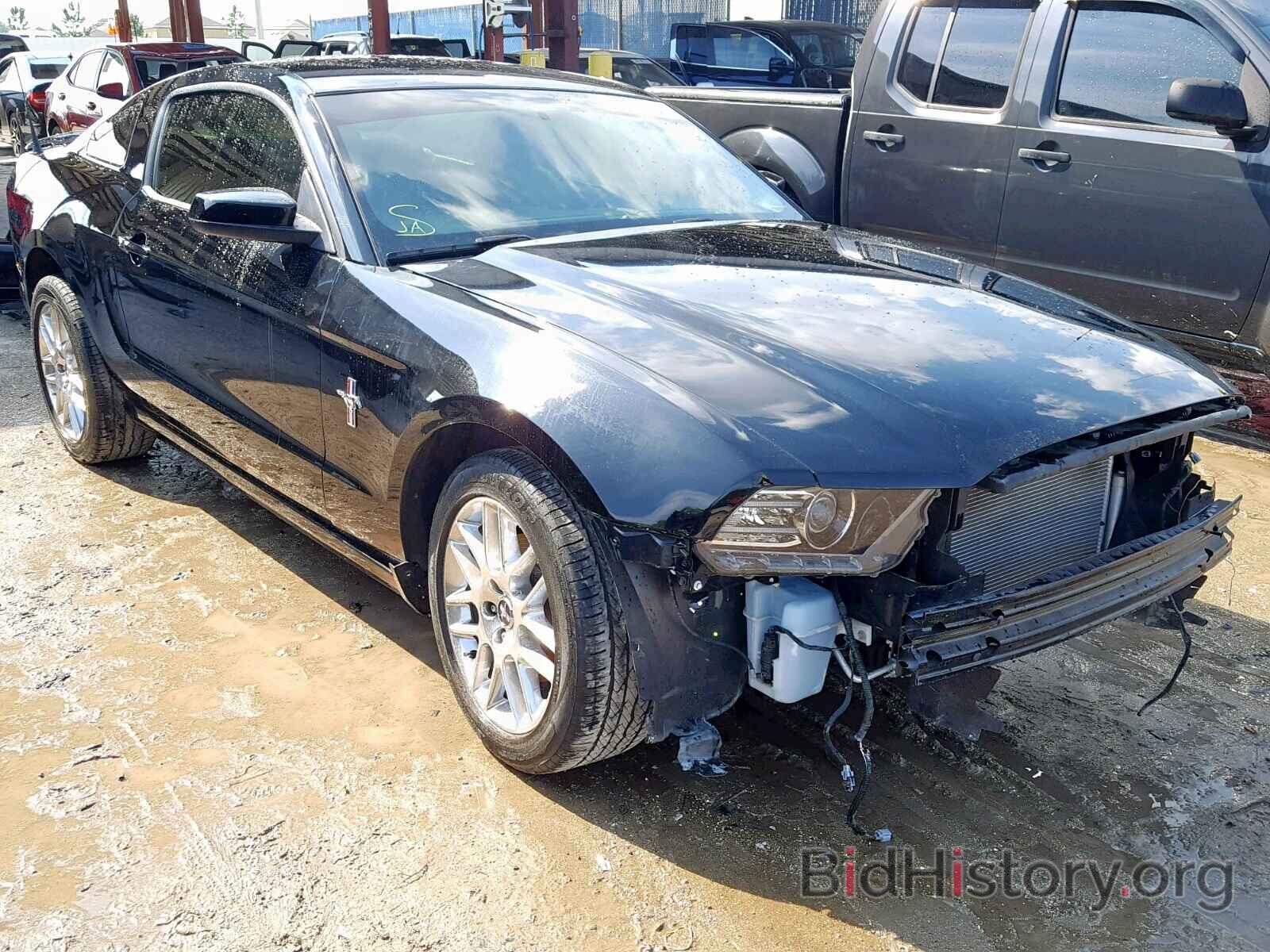 Photo 1ZVBP8AM4D5281424 - FORD MUSTANG 2013