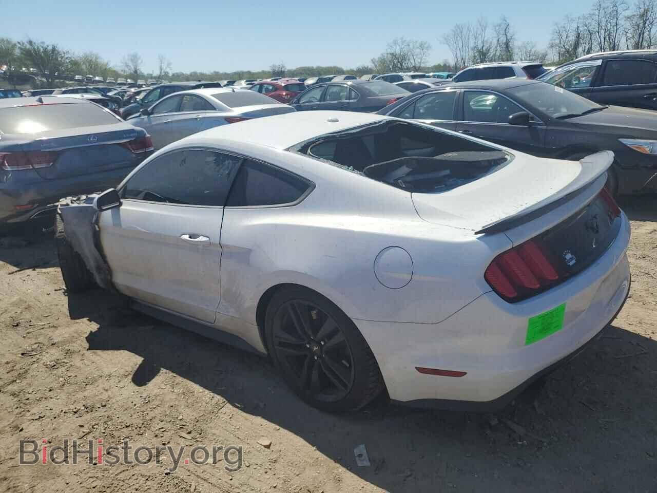 2016 FORD ALL Models - VIN: 1FA6P8TH8G5241250 - Photo 2