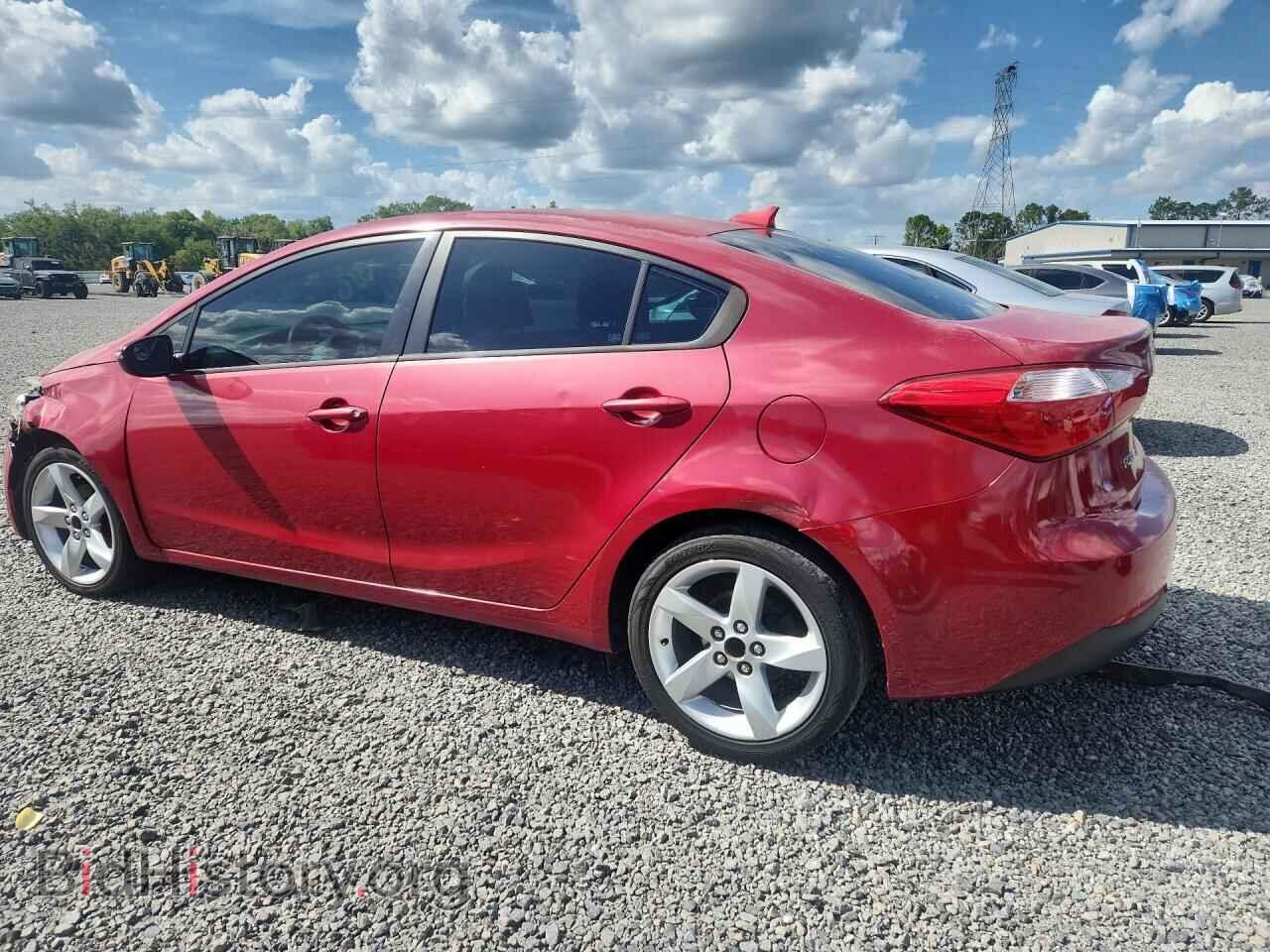 2014 KIA FORTE - VIN: KNAFX4A60E5249356 - Фото 2