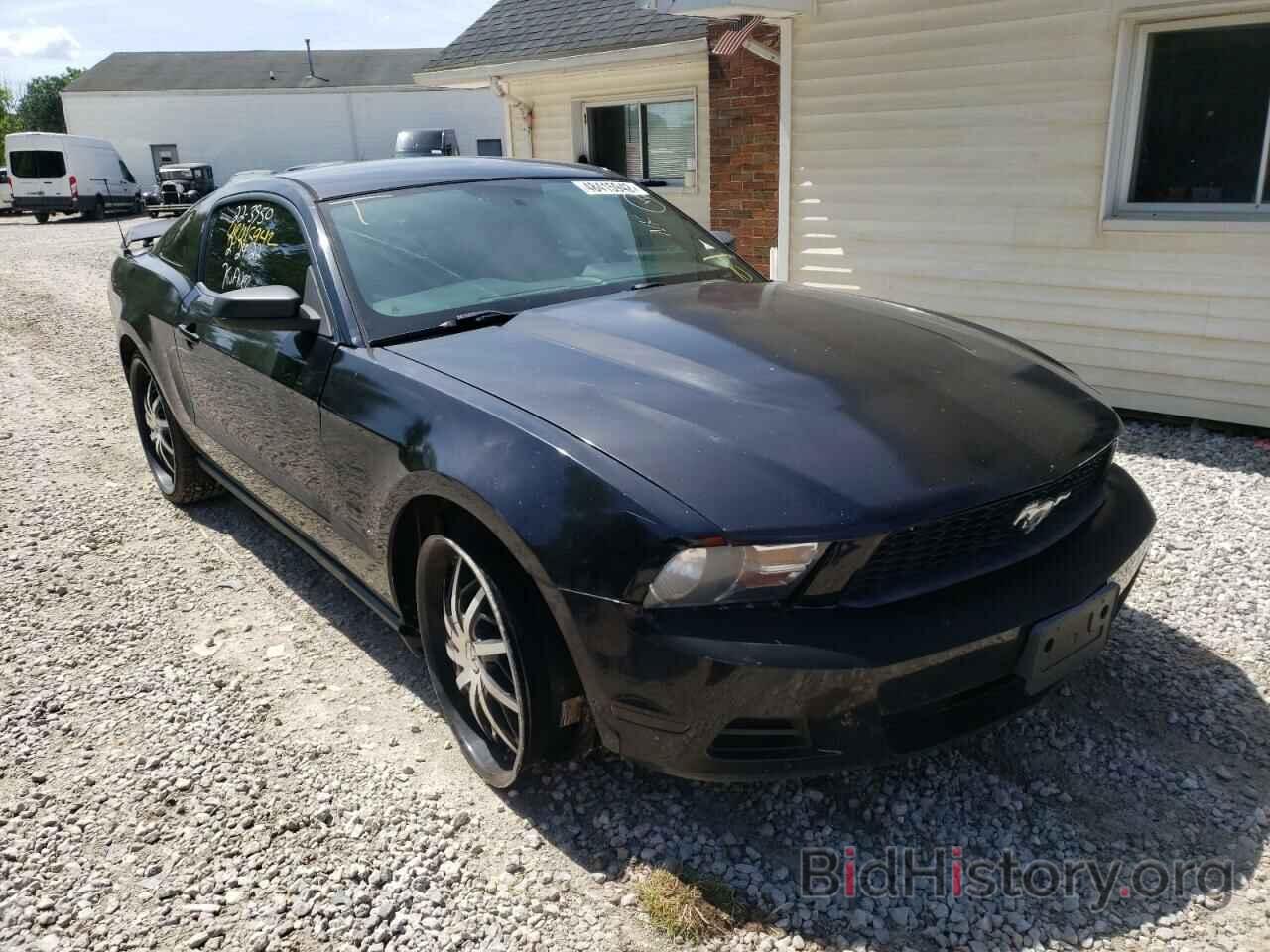 Photo 1ZVBP8AN7A5165901 - FORD MUSTANG 2010