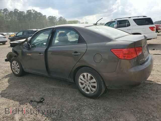 2011 KIA FORTE - VIN: KNAFU4A24B5355357 - Фото 2