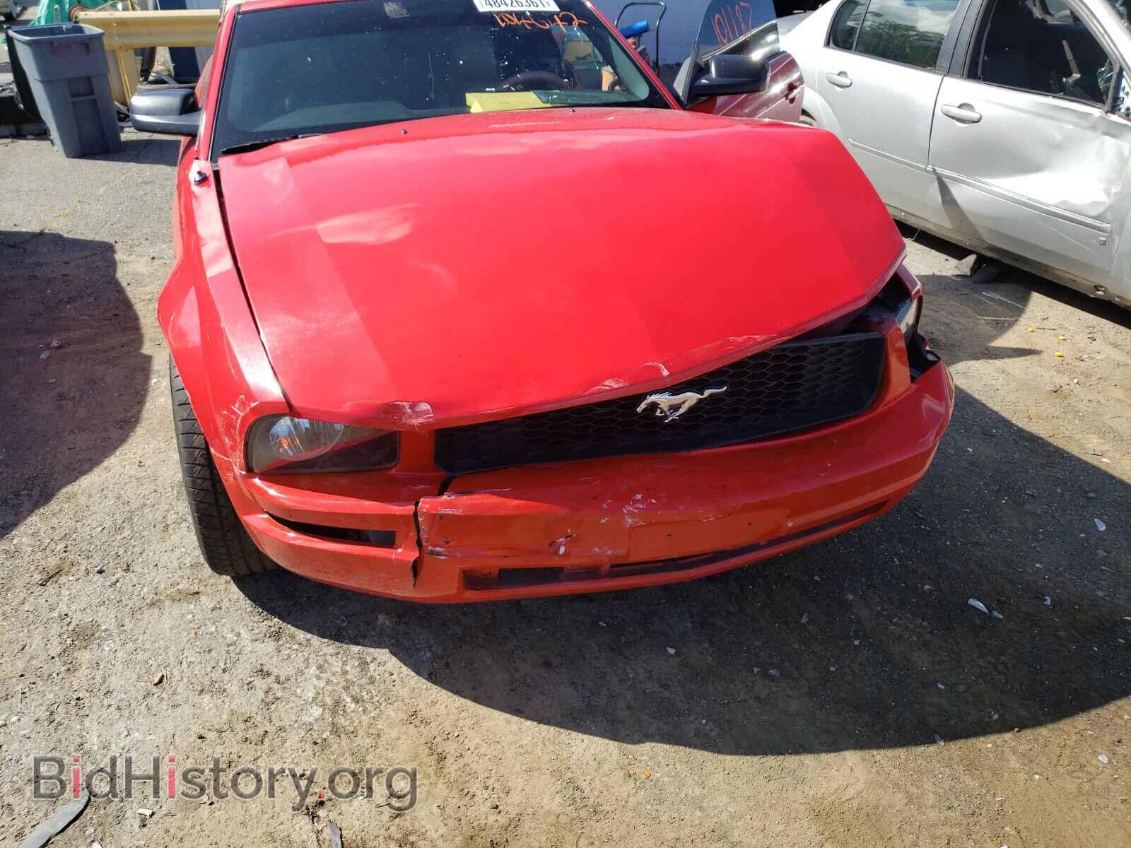 2009 FORD MUSTANG - VIN: 1ZVHT84N595104642 - Фото 9