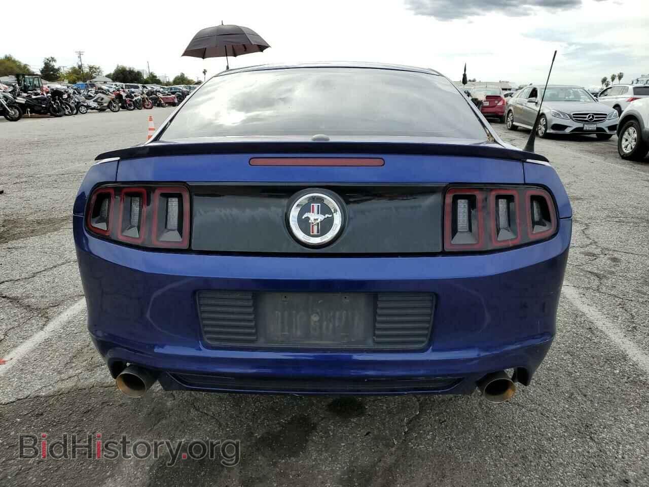 2013 FORD ALL Models - VIN: 1ZVBP8AM5D5280153 - Фото 6