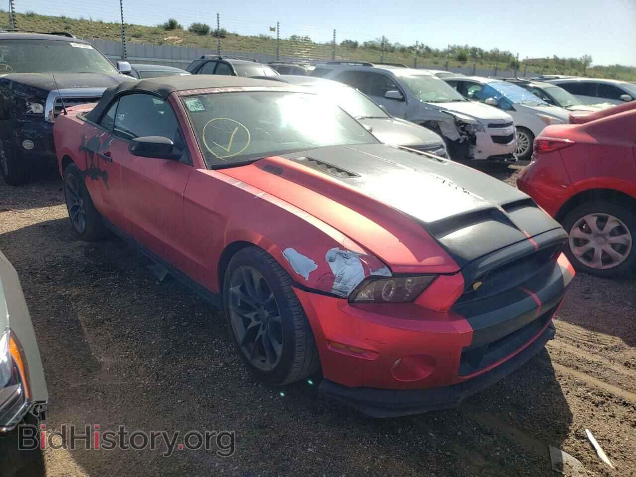 Фотография 1ZVBP8EM6D5239590 - FORD MUSTANG 2013