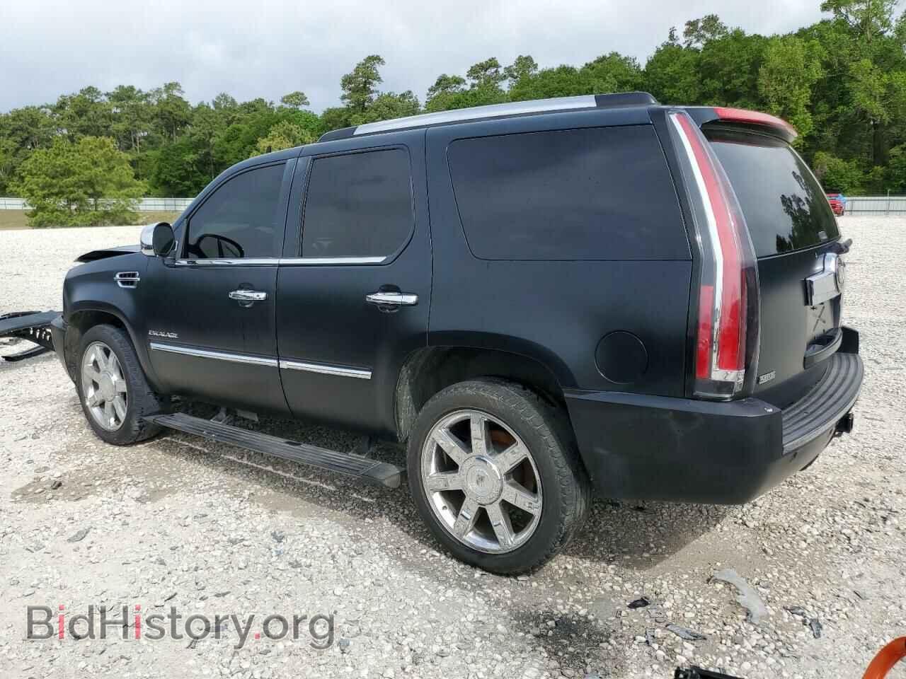 2010 CADILLAC ESCALADE - VIN: 1GYUCCEF0AR152309 - Фото 2