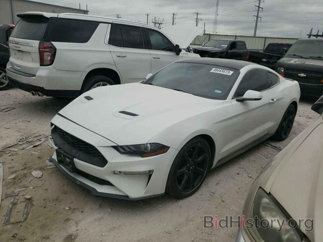 Photo 1FA6P8TH8K5125068 - FORD MUSTANG 2019