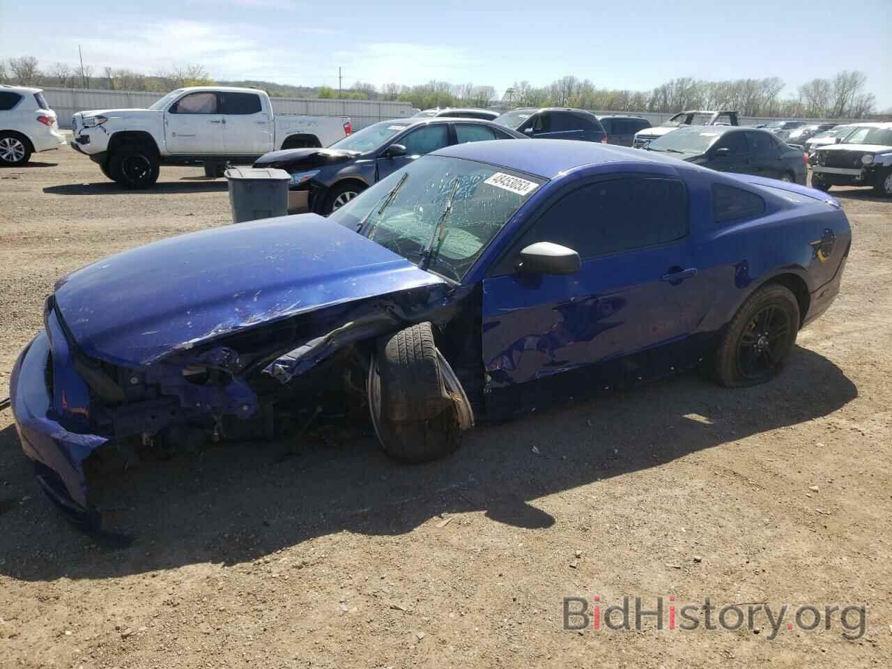 Photo 1ZVBP8AM6D5256590 - FORD MUSTANG 2013