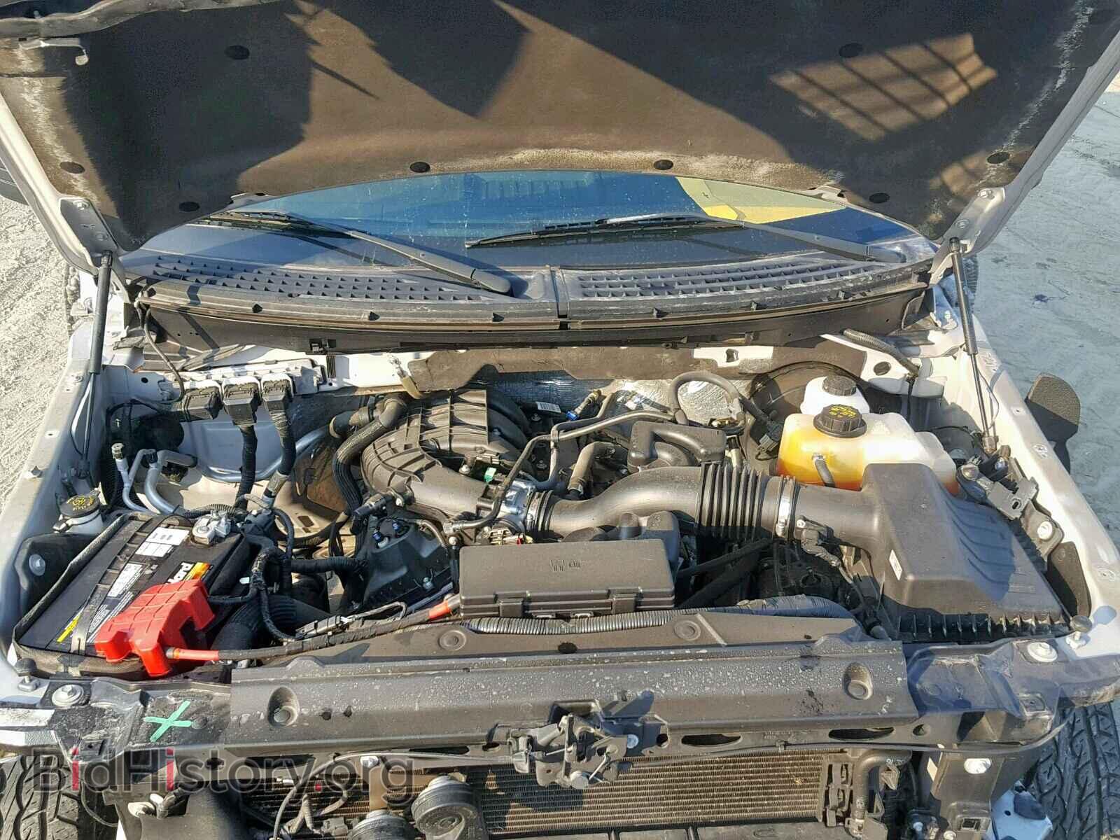 2013 FORD F150 - VIN: 1FTMF1CM1DFD18281 - Photo 7