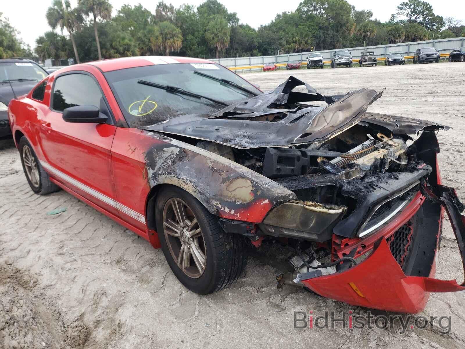 Photo 1ZVBP8AM4E5207051 - FORD MUSTANG 2014