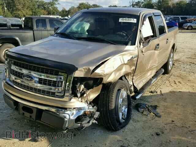 2013 FORD F150 - VIN: 1FTFW1CF4DFA77889 - Фото 2
