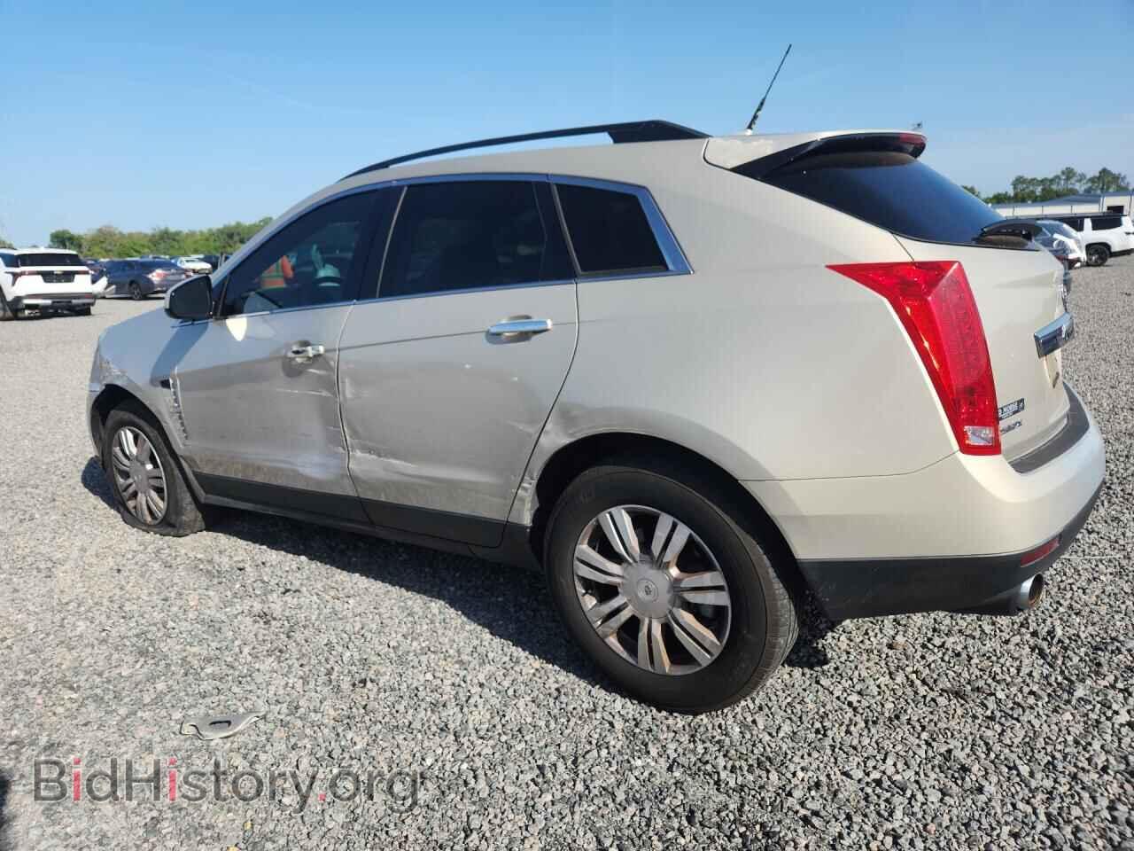 2012 CADILLAC SRX - VIN: 3GYFNGE39CS577723 - Фото 2