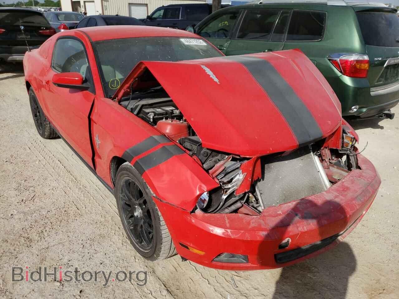 Фотография 1ZVBP8AM6C5235740 - FORD MUSTANG 2012