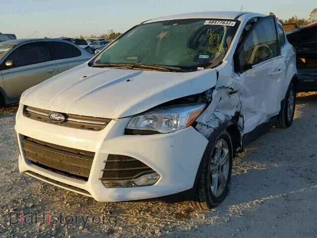 2014 FORD ESCAPE - VIN: 1FMCU0GX2EUE25316 - Фото 2