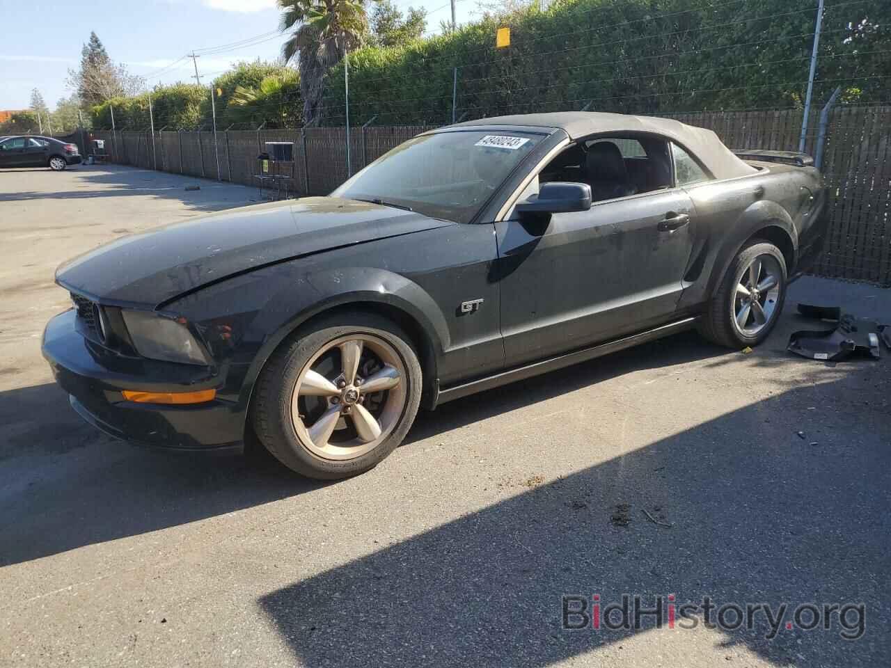 Photo 1ZVHT85H965248599 - FORD MUSTANG 2006