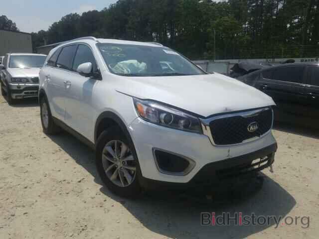 Photo 5XYPGDA55HG191478 - KIA SORENTO 2017