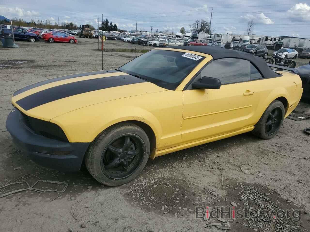 Photo 1ZVFT84N765185033 - FORD MUSTANG 2006
