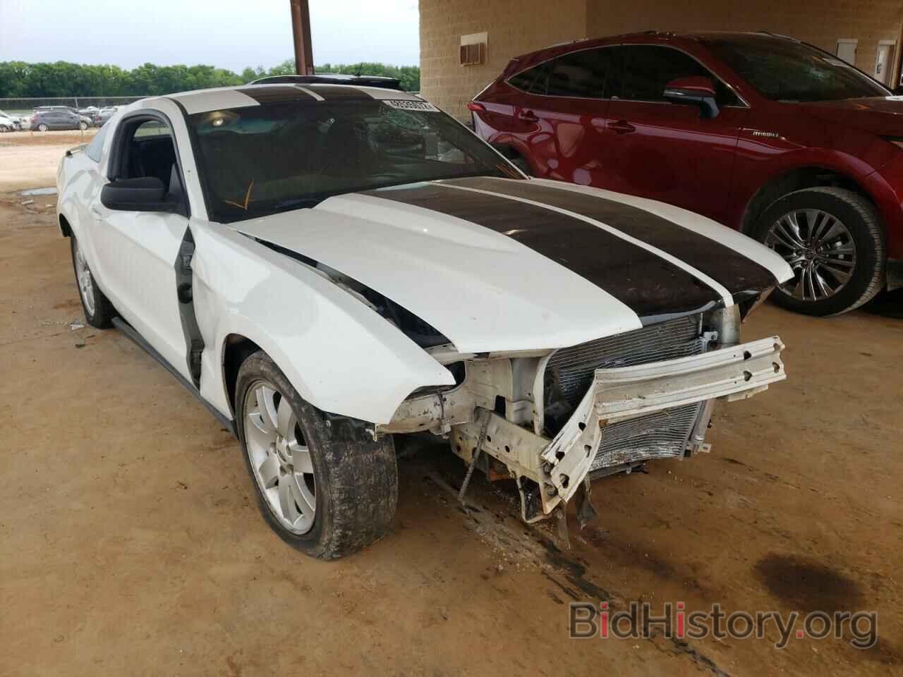 Photo 1ZVBP8AN2A5160556 - FORD MUSTANG 2010