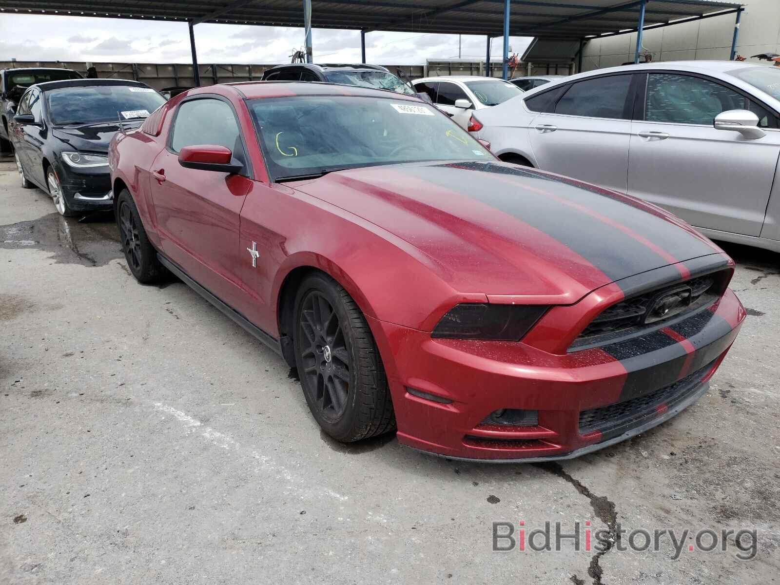 Photo 1ZVBP8AM1E5276182 - FORD MUSTANG 2014