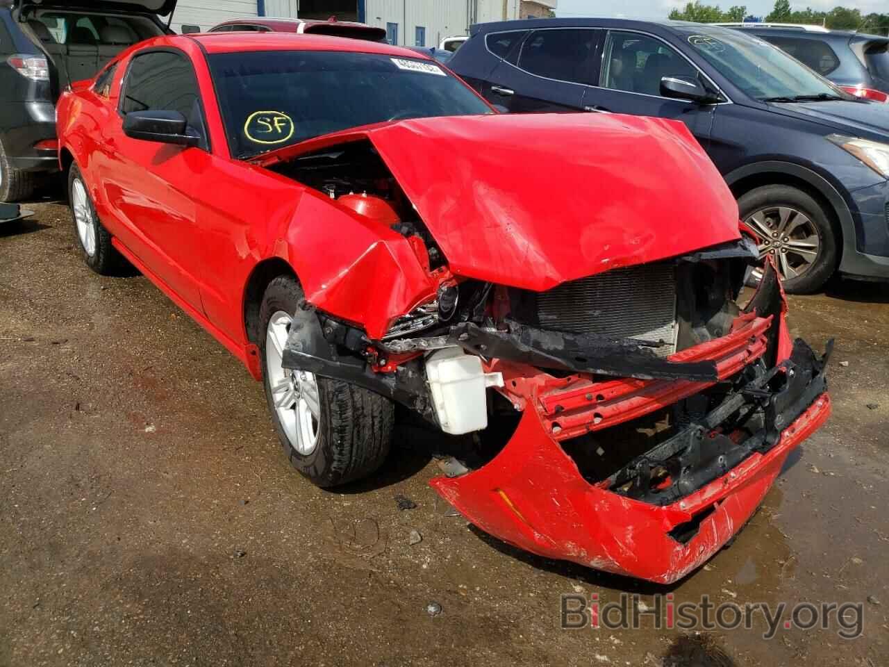 Photo 1ZVBP8AM8E5212575 - FORD MUSTANG 2014