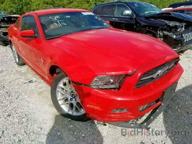 Photo 1ZVBP8AM6D5206238 - FORD MUSTANG 2013