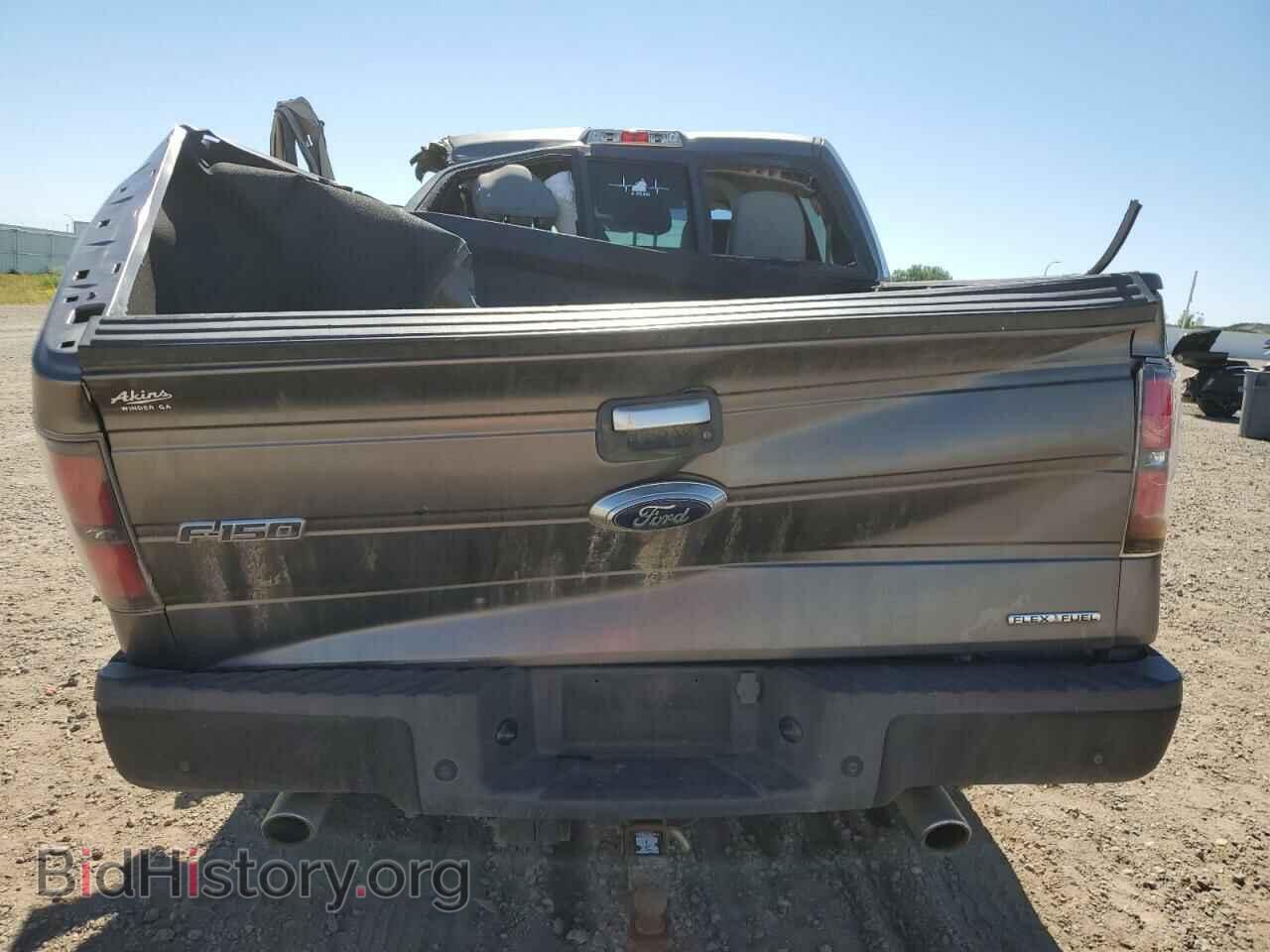 2013 FORD F-150 - VIN: 1FTFW1CF3DFD08278 - Фото 6