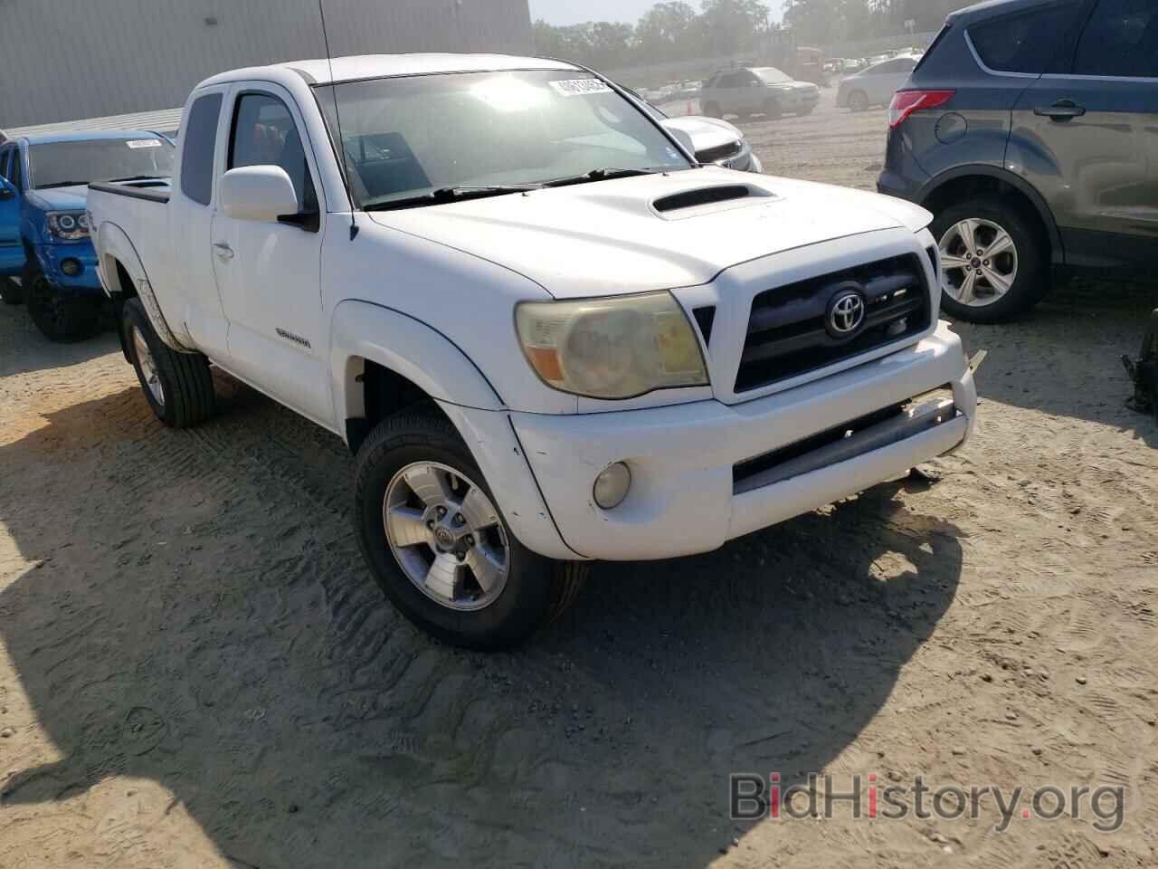 Photo 5TETU62N26Z231049 - TOYOTA TACOMA 2006