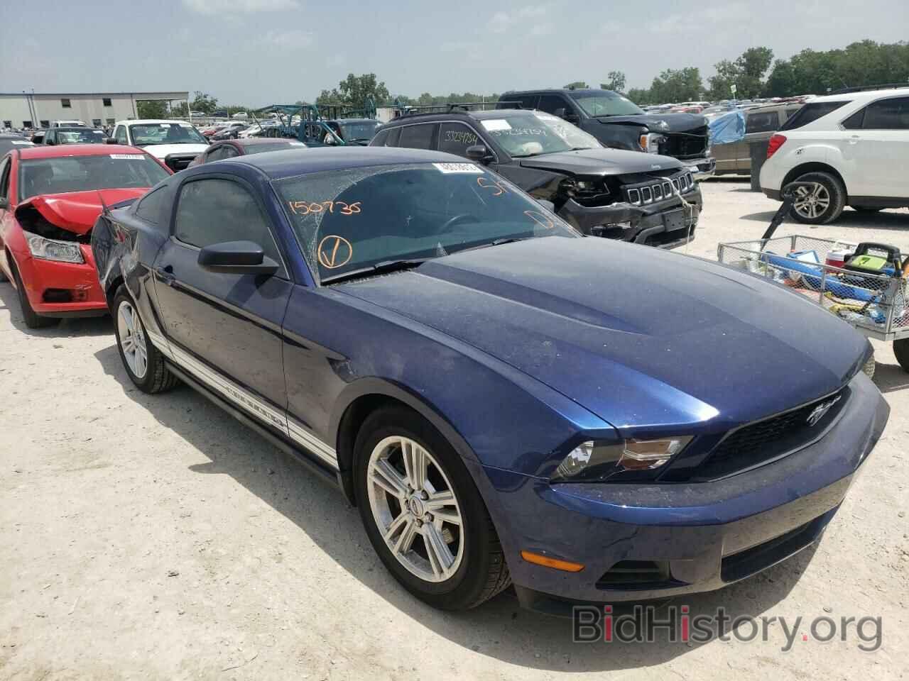 Photo 1ZVBP8AN9A5150736 - FORD MUSTANG 2010