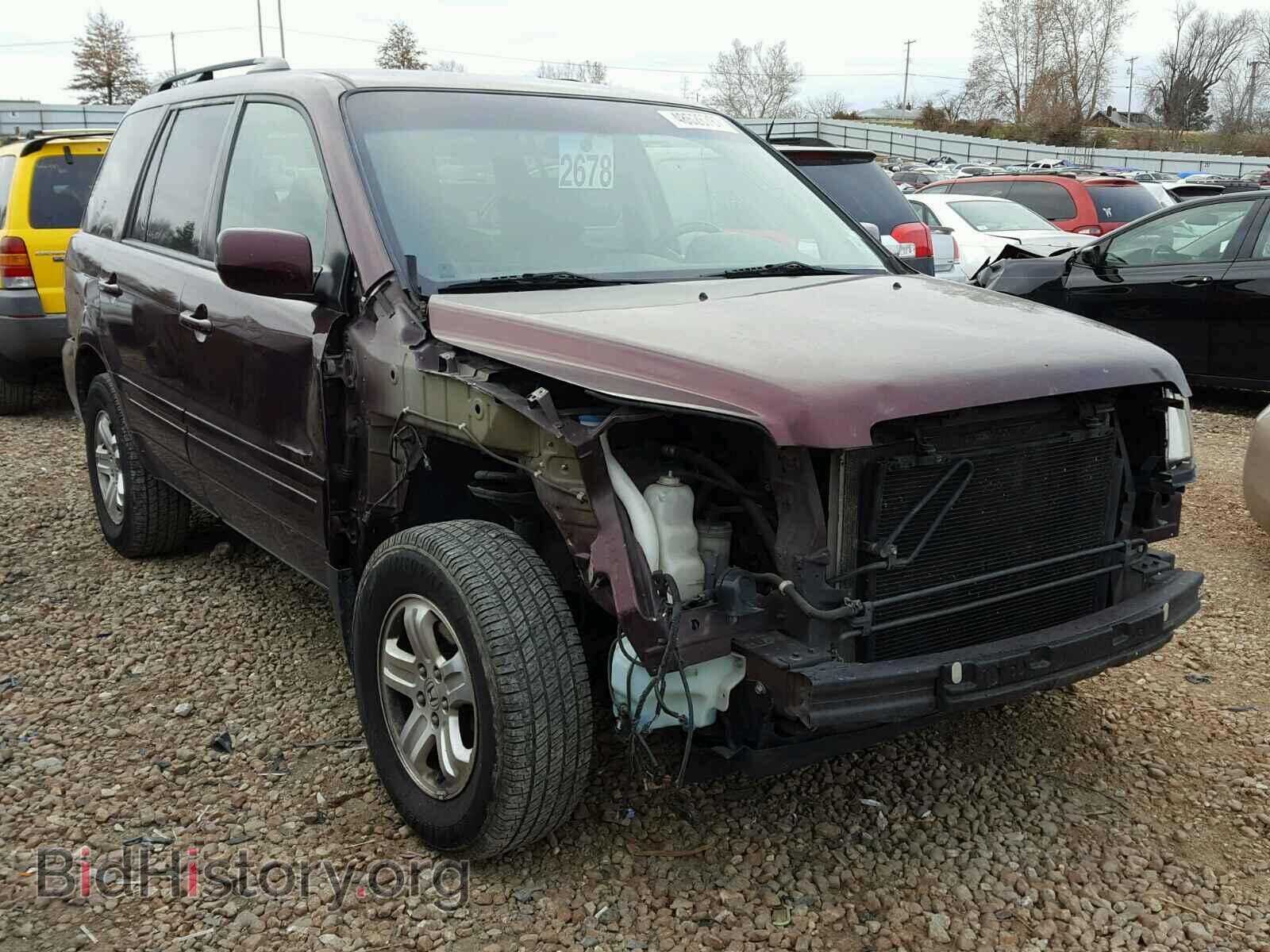 Photo 5FNYF18288B040143 - HONDA PILOT 2008