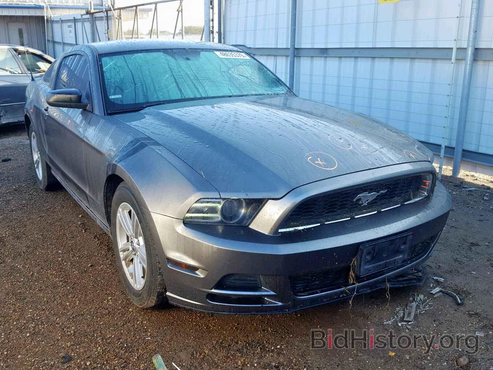 Photo 1ZVBP8AM1D5231967 - FORD MUSTANG 2013