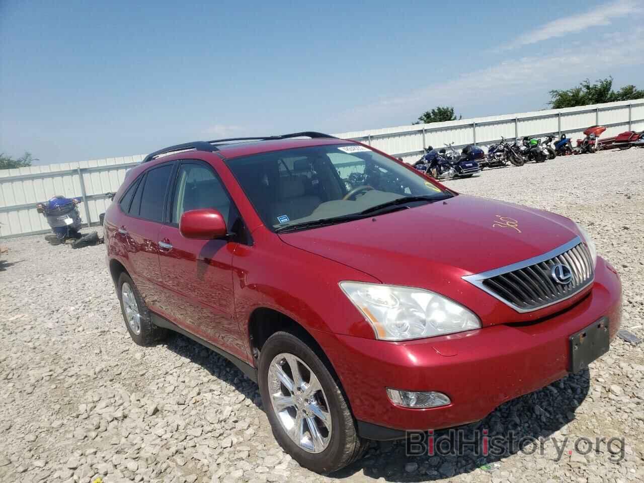 Фотография 2T2HK31U69C109481 - LEXUS RX350 2009