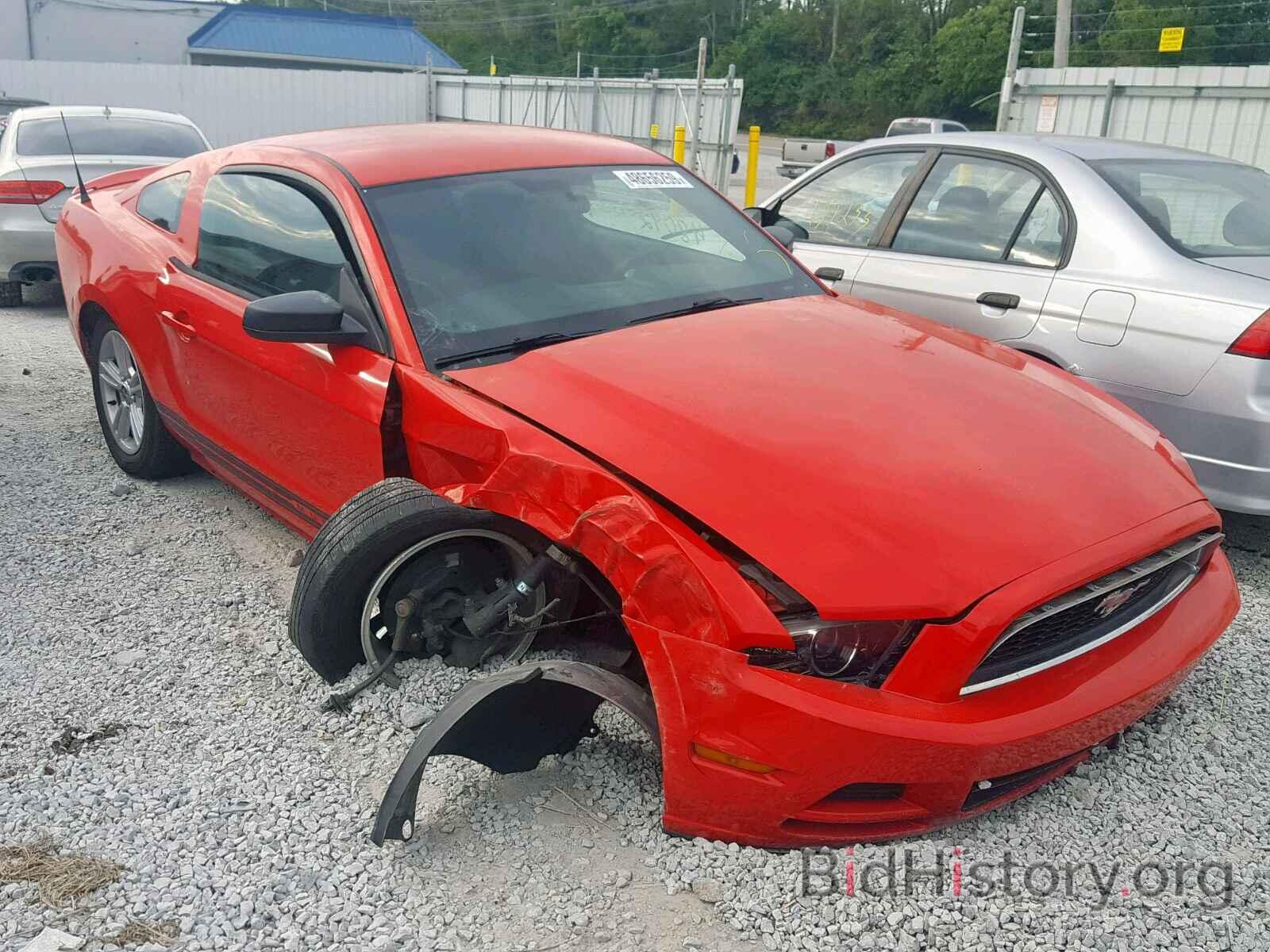 Photo 1ZVBP8AM6D5252555 - FORD MUSTANG 2013