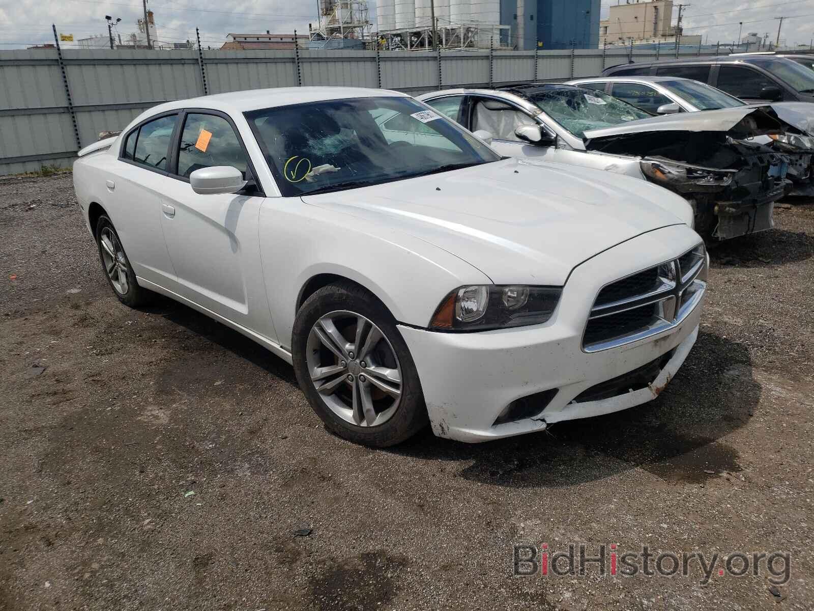 Photo 2C3CDXJG3DH591856 - DODGE CHARGER 2013