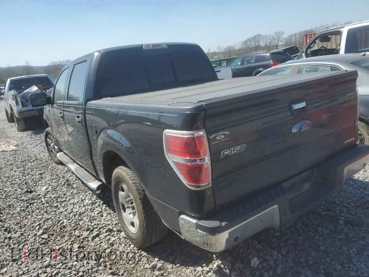 2013 FORD F-150 - VIN: 1FTFW1CF7DFC38400 - Фото 2