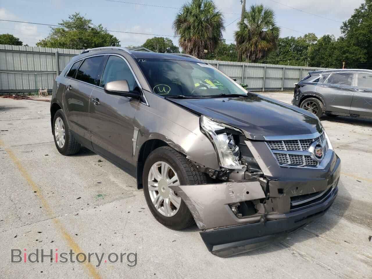 Фотография 3GYFNAE36CS549178 - CADILLAC SRX 2012