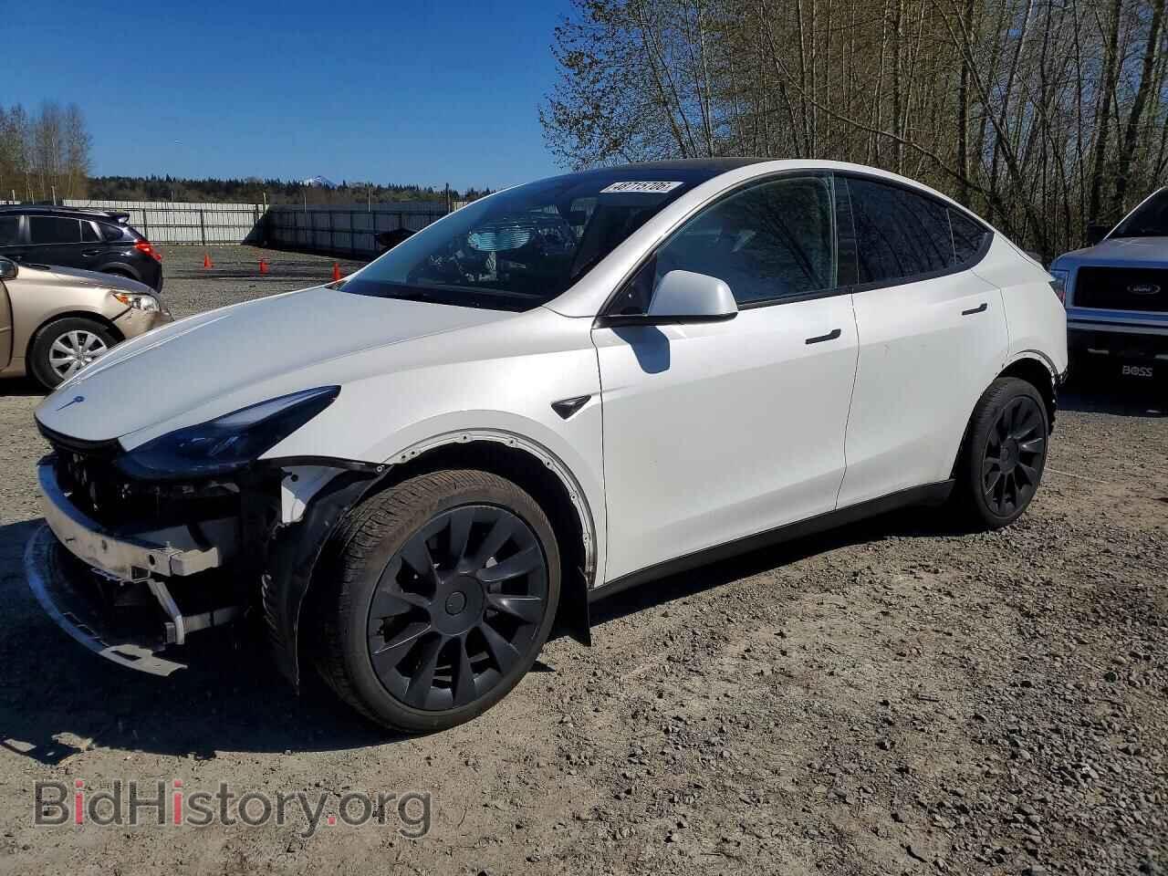 Фотография 7SAYGDEE4RF126583 - TESLA MODEL Y 2024
