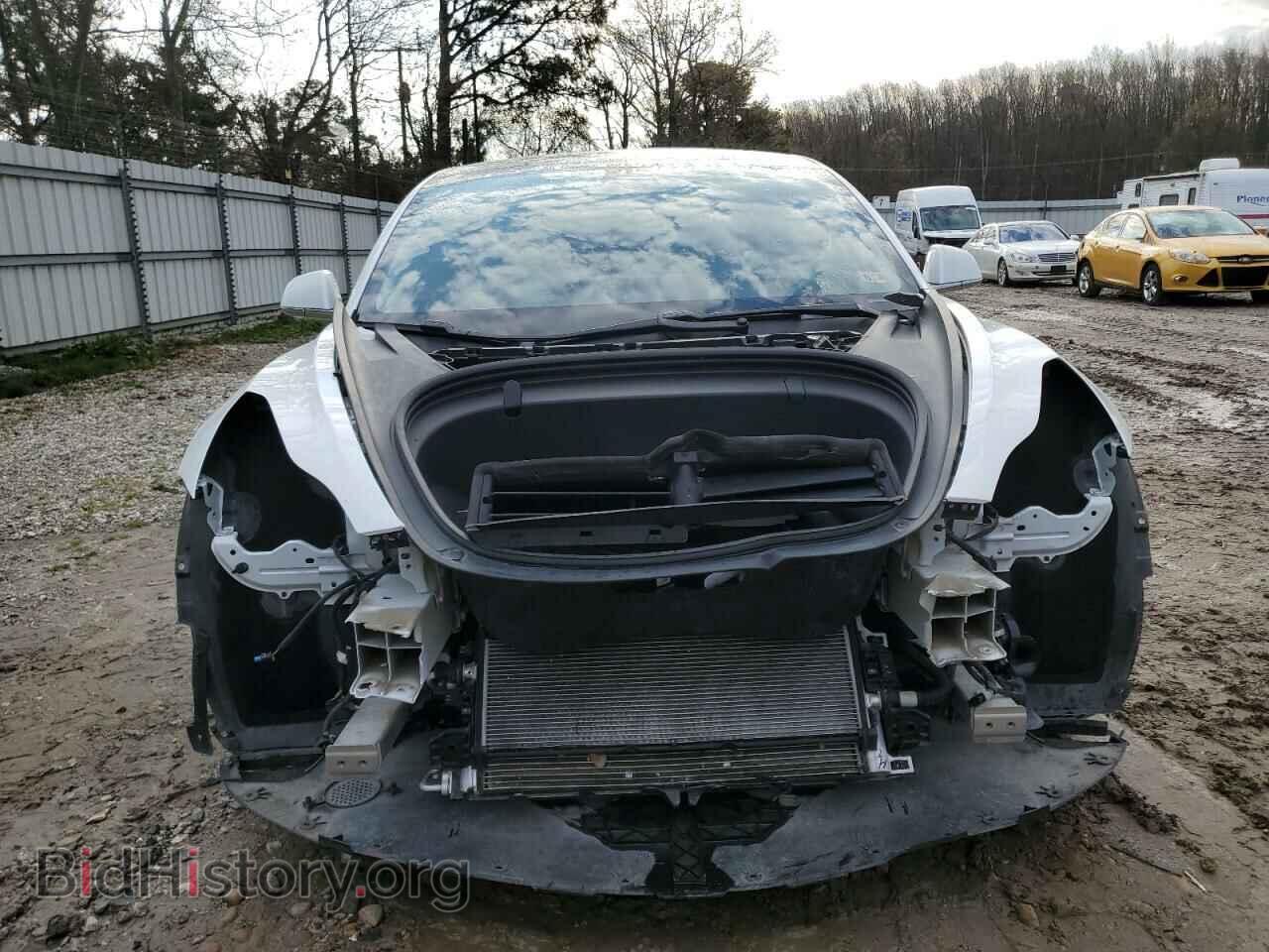 2019 TESLA MODEL 3 - VIN: 5YJ3E1EA5KF301387 - Фото 5
