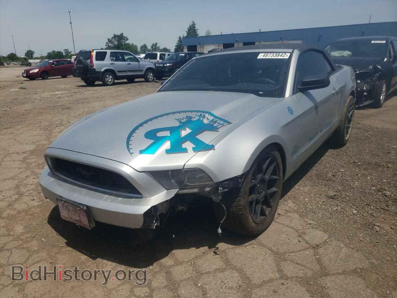 2013 FORD MUSTANG - VIN: 1ZVBP8EM8D5272204 - Фото 2