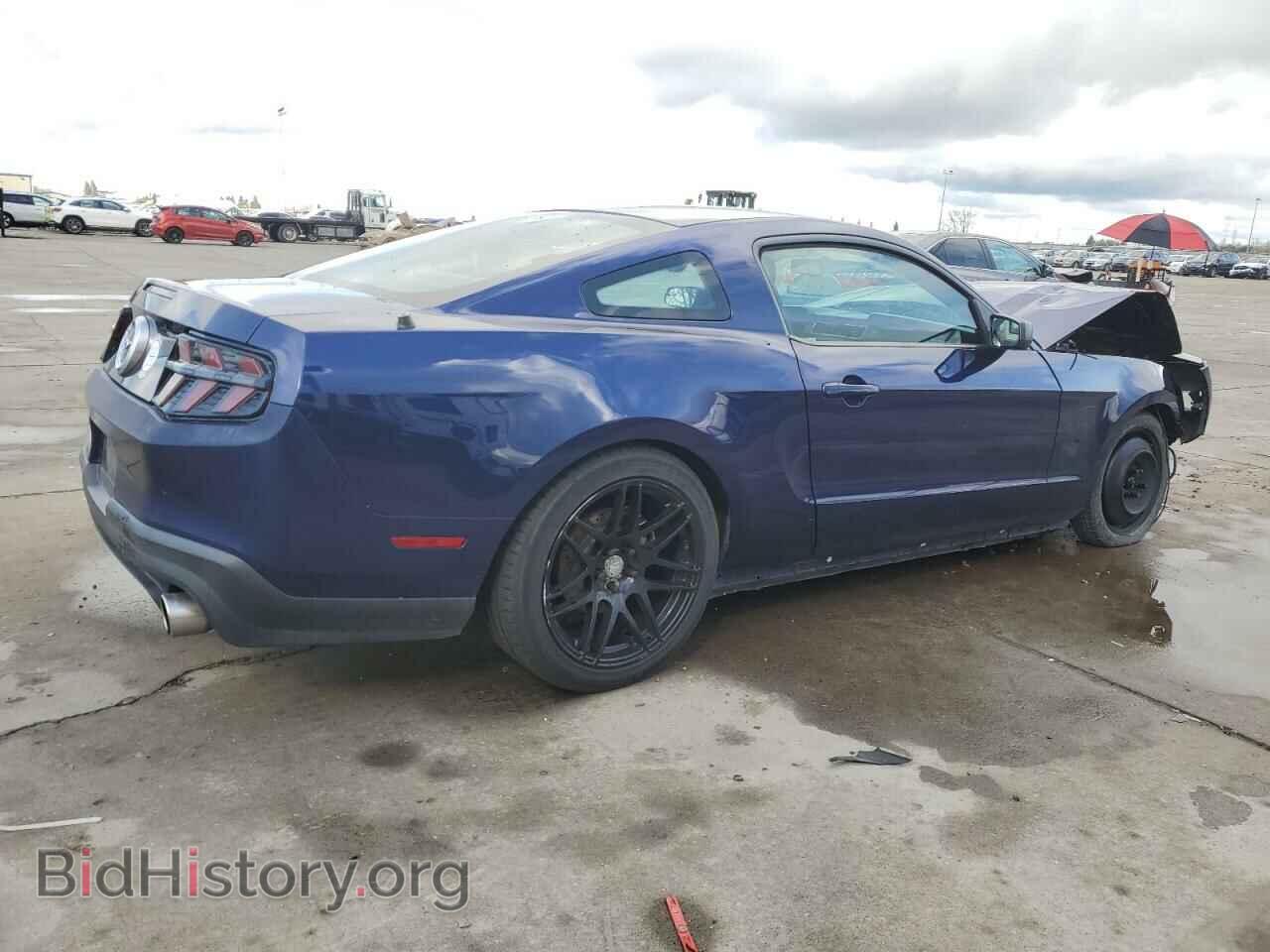 2011 FORD ALL Models - VIN: 1ZVBP8AM6B5169544 - Фото 3