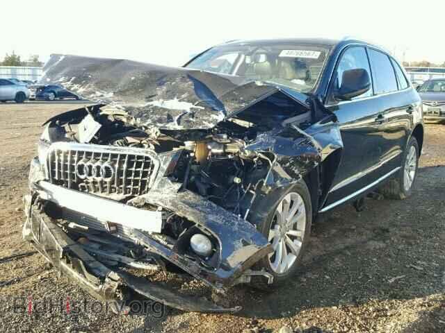 2013 AUDI Q5 - VIN: WA1CFBFP7DA031817 - Фото 2