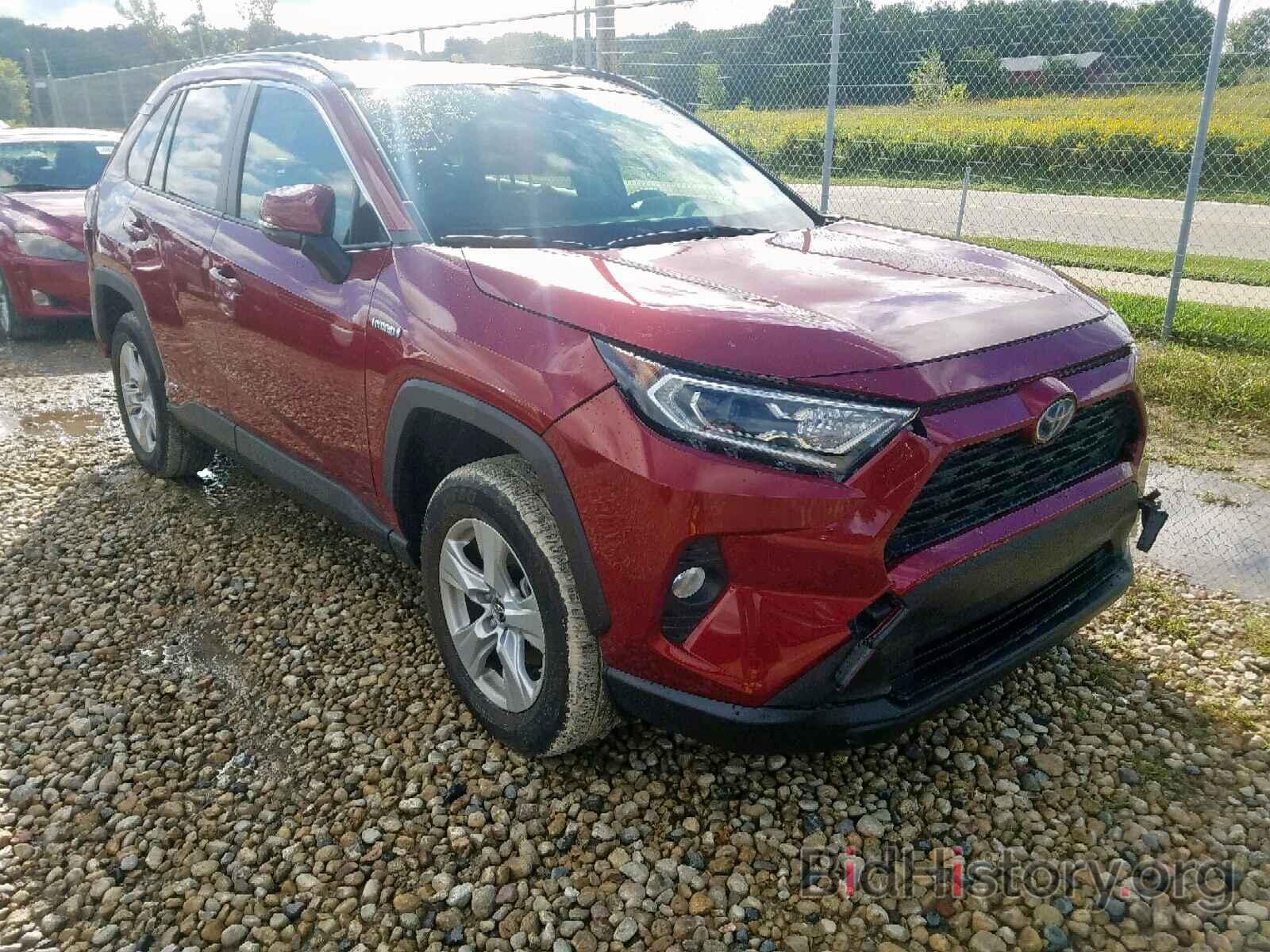 Photo JTMRWRFV0KD501656 - TOYOTA RAV4 XLE 2019