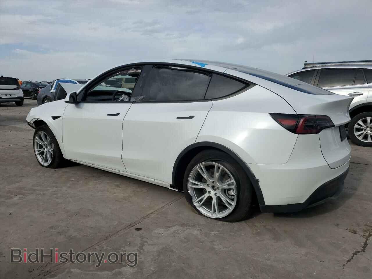 2024 TESLA MODEL Y - VIN: 7SAYGDED5RF045017 - Photo 2