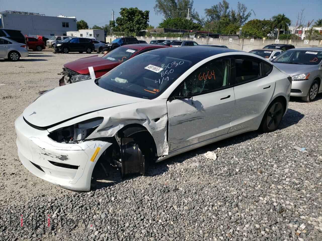 Photo 5YJ3E1EA8MF083030 - TESLA MODEL 3 2021