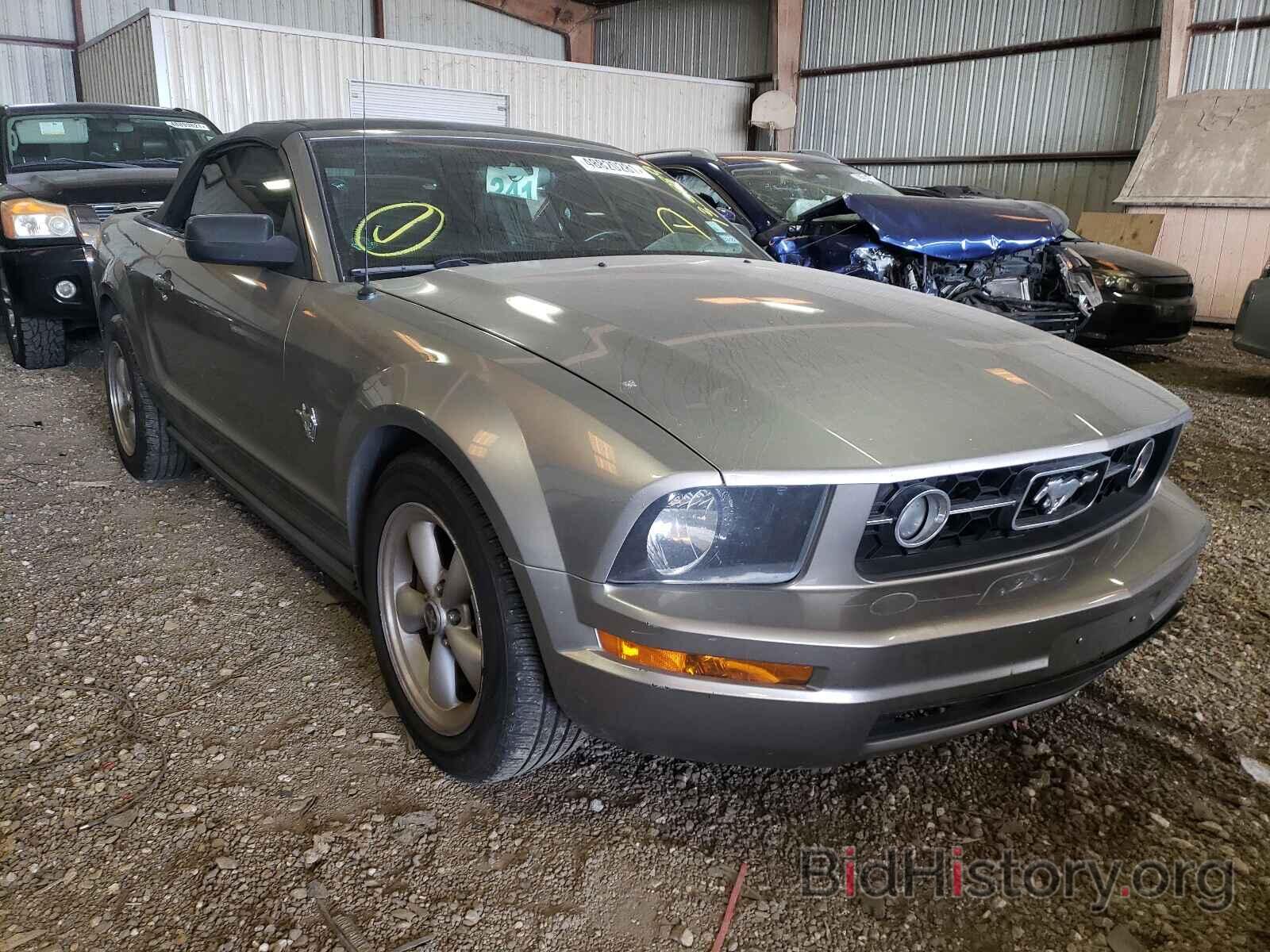 Photo 1ZVHT84N795135889 - FORD MUSTANG 2009