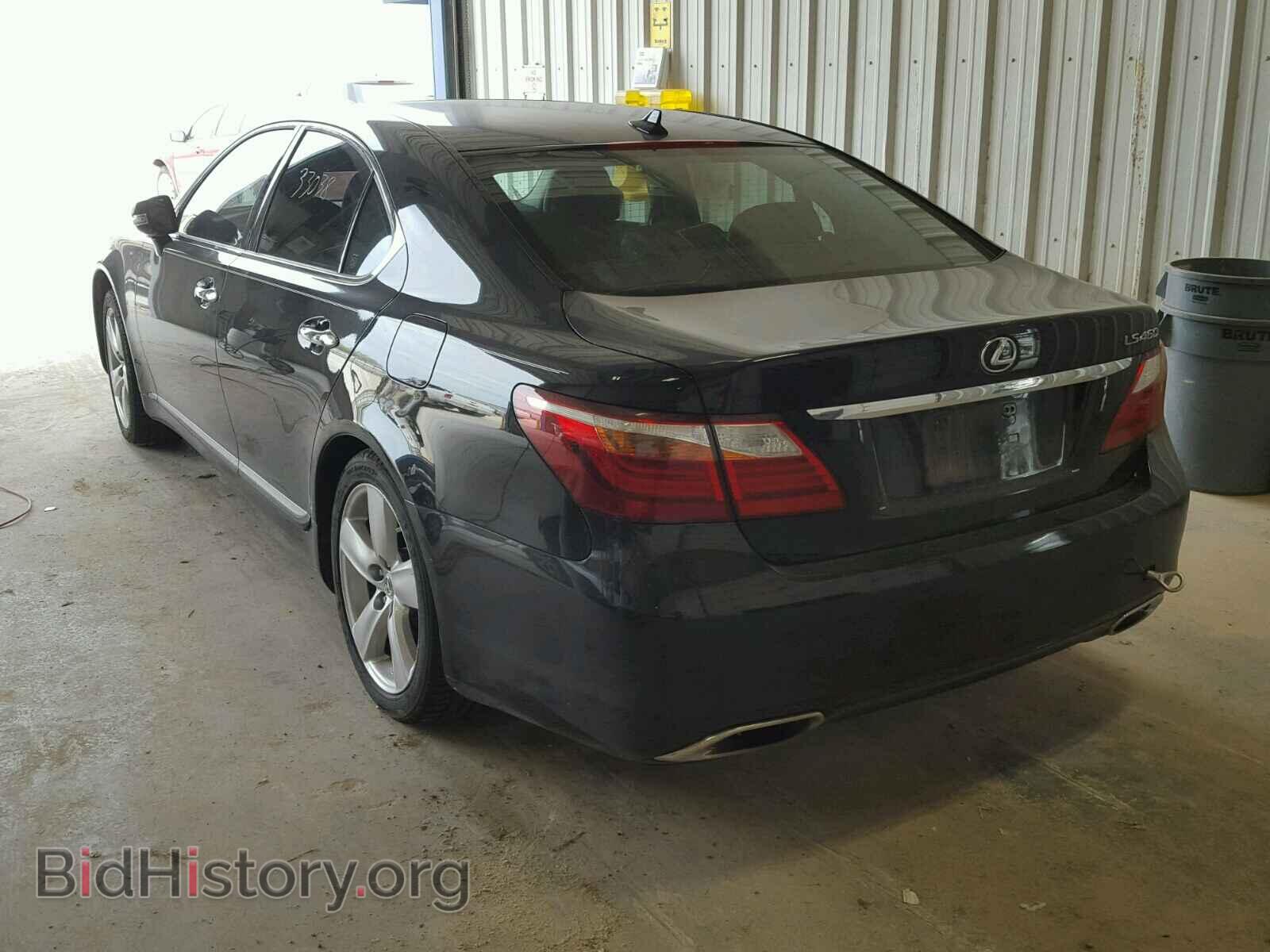 2011 LEXUS LS460 - VIN: JTHBL5EF3B5107106 - Фото 3