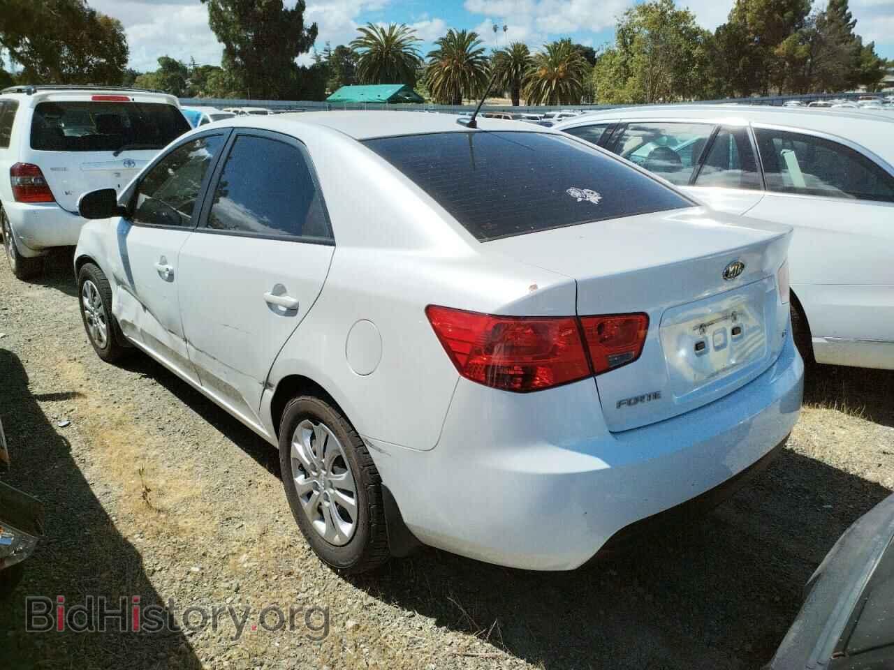 2012 KIA FORTE - VIN: KNAFU4A2XC5557668 - Фото 3