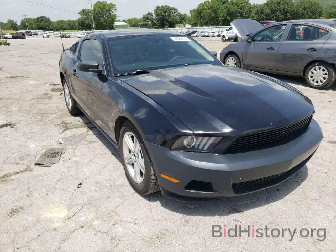 Photo 1ZVBP8AN0A5180336 - FORD MUSTANG 2010