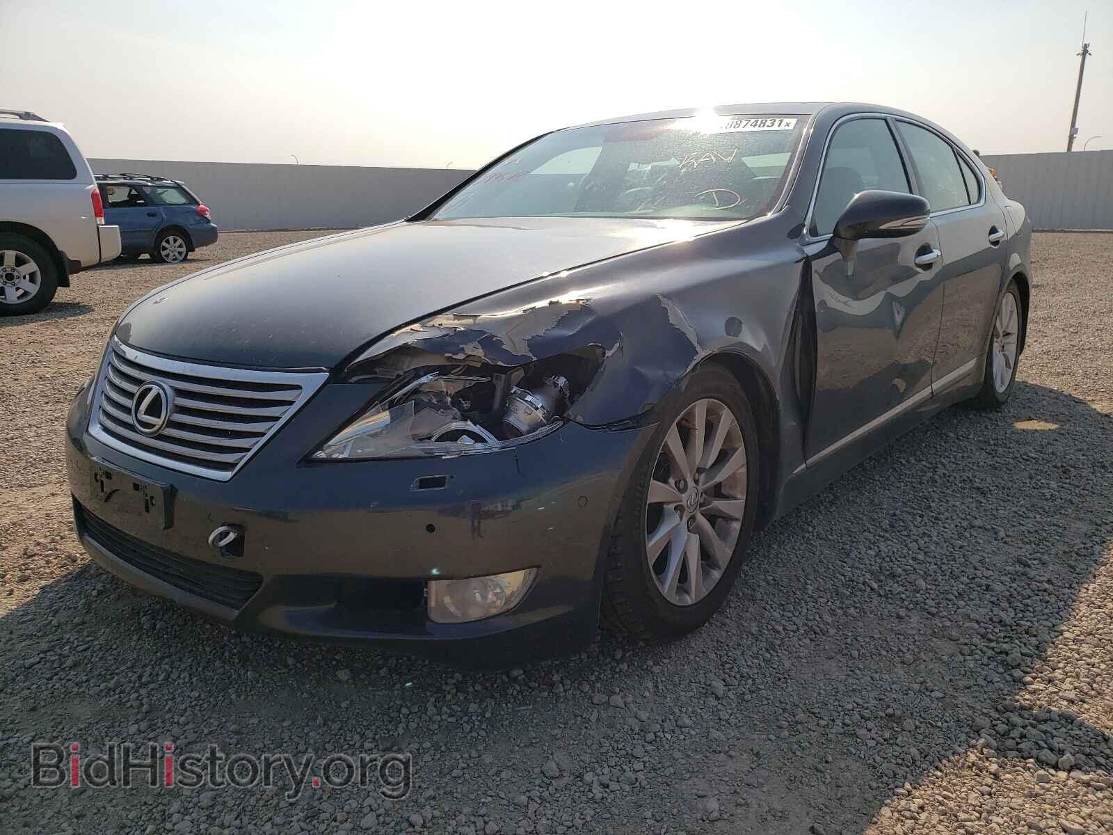 2010 LEXUS LS460 - VIN: JTHBL5EF3A5099572 - Фото 2