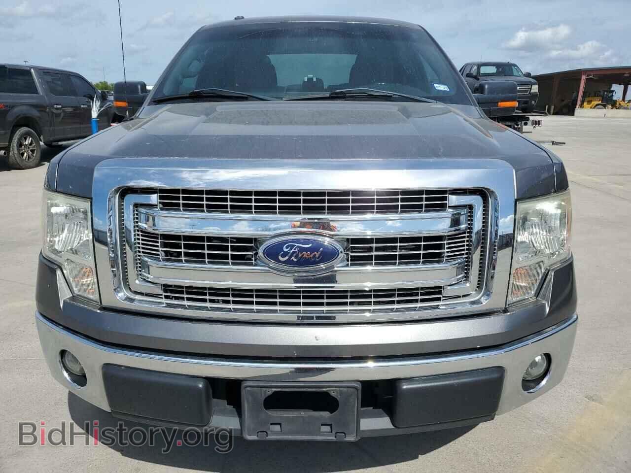 2013 FORD F-150 - VIN: 1FTEX1CM4DFD33049 - Фото 5